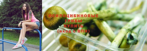 ешки Алексеевка