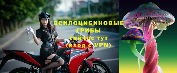 дмт Алзамай