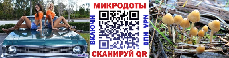 Псилоцибиновые грибы Psilocybine cubensis  Нижняя Салда 